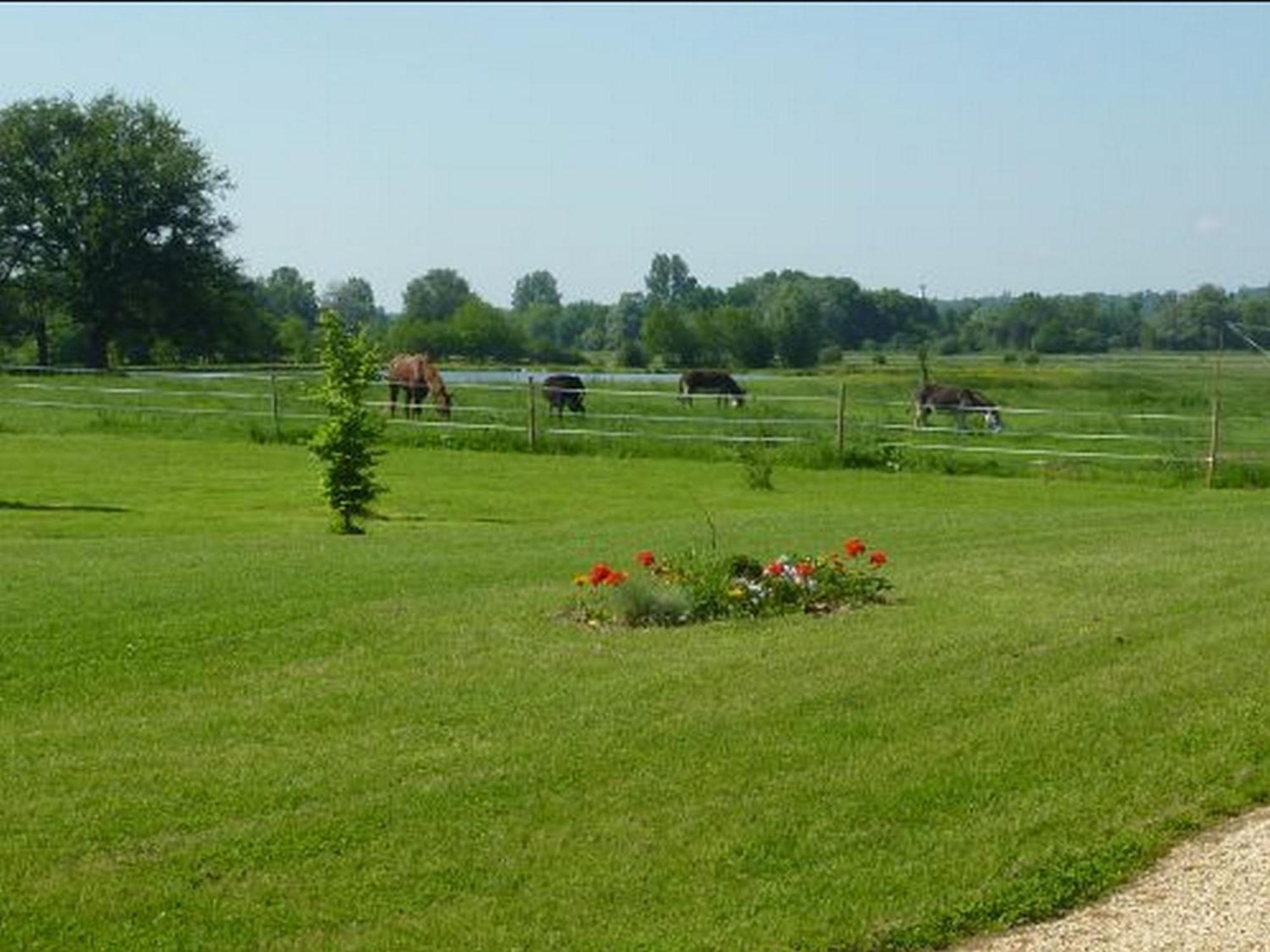 Chambres D'Hotes De La Junchere Saint-Hilaire-de-Court Luaran gambar